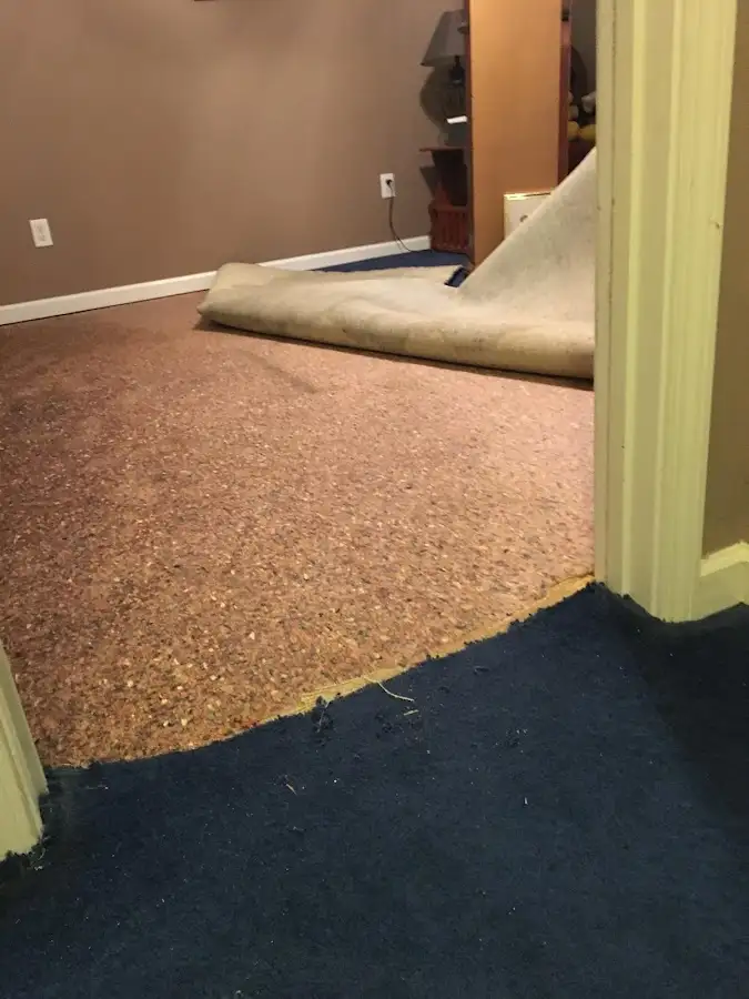 Carpet pad removal revealing water damage during Drying & Dehumidification in East Camden