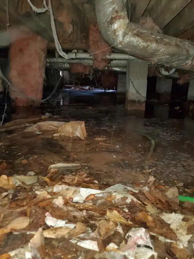 Crawl space flood assessment for Leak Detection & Repair in East Camden